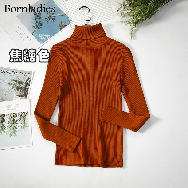 Basic Turtleneck Women Sweaters Autumn Winter Tops Slim Women Pullover Knitted Sweater Jumper Soft Warm Pull