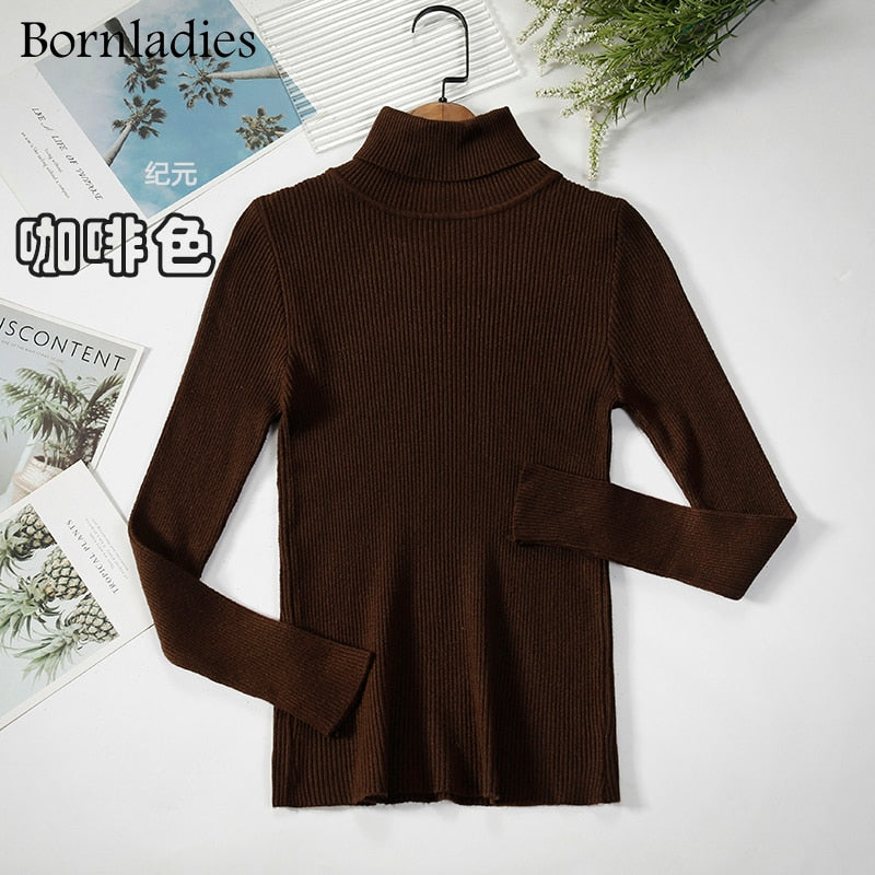 Basic Turtleneck Women Sweaters Autumn Winter Tops Slim Women Pullover Knitted Sweater Jumper Soft Warm Pull