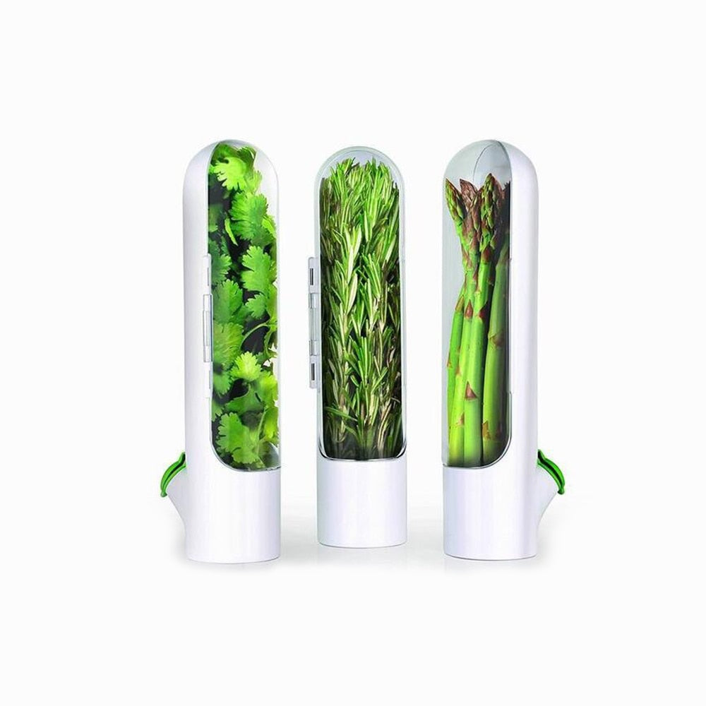 Preservation Cup Herb Storage Container Vegetables Fresh Preservation Bottle Herb Keeper Container Kitchen Gadgets